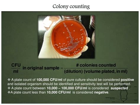 Greater than 100,000 coloniesml represents urinary tract infection. . Urine culture colony count 100000